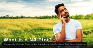 What is a NA Plot