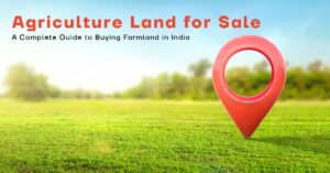 Agriculture Land for Sale
