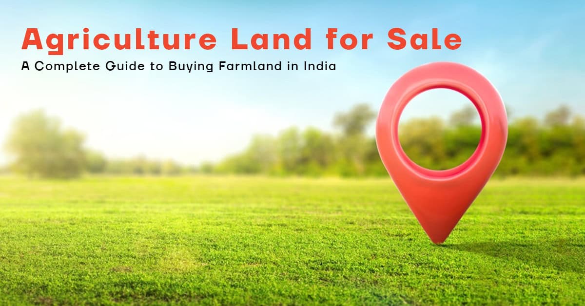 Agriculture Land for Sale